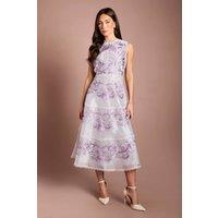 Coast Women's Placement Embroidered Organza Lace Midi Dress in Purple | Size: 10