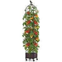 Kelvenix 200 cm Raised Garden Bed Planter Box in Black | Size: 100g