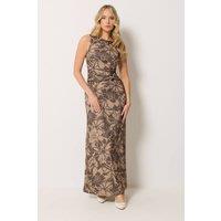 Long Tall Sally Women's Tall Floral Detail Maxi Dress in Brown | Size: 10