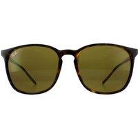 Ray-Ban Men's Square Tortoiseshell Brown RB4387 Sunglasses