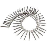 Forgefix Drywall Collated Screw Phillips Bugle Head Sct 3.9 X 55Mm Box 1000 in Silver