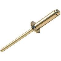 Forgefix Aluminium Rivets 4.0 X 8Mm Bag 100 in Silver