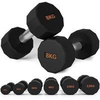 SPETLEK Dumbbells Weights Set 2 x 8kg in Black | Size: 0-12 m