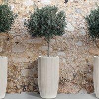 Wyld and Coco Beige Pinstripe Plant Pot 35 x 35 x 70 cm Weatherproof Indoor Outdoor