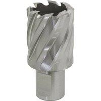 Loops 29mm x 25mm Depth Rotabor Cutter - M2 Steel Annular Metal Core Drill 19mm Shank in Metallics