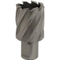Loops 33mm x 25mm Depth Rotabor Cutter - M2 Steel Annular Metal Core Drill 19mm Shank in Metallics