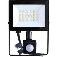 Securlec LED Flood Light in Black