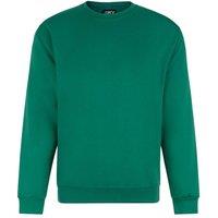 PRORTX Men's Pro Sweatshirt in Green | Size: Small