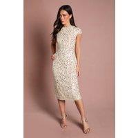 Coast Women's Cap Sleeve Pearl Embellished Pencil Dress in Lemon | Size: 12