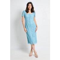 Wallis Women's Lace Button Midi Dress in Blue | Size: 16