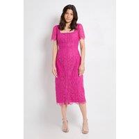 Wallis Women's Lace Button Midi Dress in Pink | Size: 12