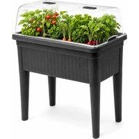 NESTLUNE Elevated Garden Planter Box With Legs Outdoor Veggie in Black | Size: 10kg