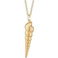 Gold Trip Women's Turret Seashell Pendant in Gold