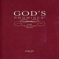 Thomas Nelson Publishers God's Promises for Your Every Need, NKJV Paperback Book