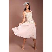Coast Women's Lisa Tan Embroidered Mesh Pleated Skirt Midi Dress in Blush | Size: 12