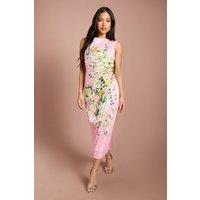 Coast Women's Petite Lisa Tan Pleated Floral Midi Dress With Pleat Detail in Blush | Size: 4