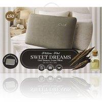 GAVENO CAVAILIA Oud Scent Infused Pillow in Brown