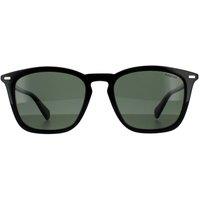 Salvatore Ferragamo Women's Oval Black Taupe Brown Gradient SF668