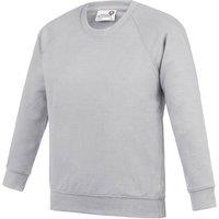 AWDis Academy Crew Neck Raglan School Sweatshirt Pack of 2 in Grey | Size: 3-4 Years