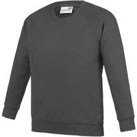 AWDis Academy Crew Neck Raglan School Sweatshirt Pack of 2 in Charcoal | Size: 3-4 Years