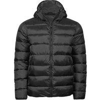 TEE JAYS Men's Lite Padded Jacket in Black | Size: XL