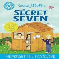 Jackie Walter Reading Champion: The Secret Seven: The Forgotten Password