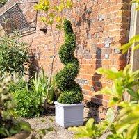 Primrose Artificial Topiary Grass Spiral Swirl Bush 150cm in Green