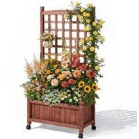 Kelvenix Wood Planter with Trellis in Brown | Size: 100g