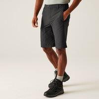 Regatta Men's Highton Long Walking Shorts in Grey | Size: 36