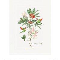 Summer Thornton Hummingbird Poster in Dark Green