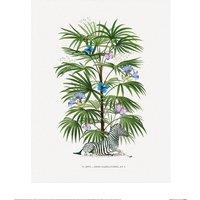 Summer Thornton Palm Tree Poster in Bottle Green