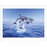Pyramid International Dolphin Trio Print in Blue
