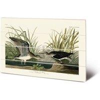 John James Audubon 