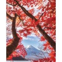 Pyramid International Mount Fuji Canvas Print in Off-White