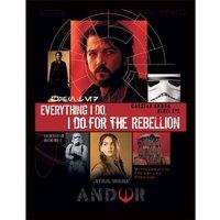 Disney For The Rebellion Framed Poster in Black