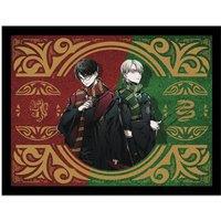 Warner Bros Harry Vs Draco Print in Dark Green