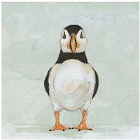 Bev Davies Peering Puffin Print