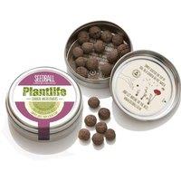 Gifts Direct 2 U Seedball Plantlife Wildflowers Mix 20 Balls