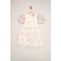 Miss Girl's Floral Mesh Dress with Ruffle Sleeves in Cream | Size: 5 Years