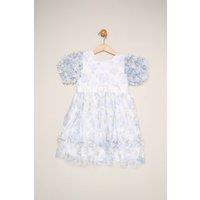 Miss Girl's Floral Mesh Dress with Ruffle Sleeves in Blue | Size: 5 Years
