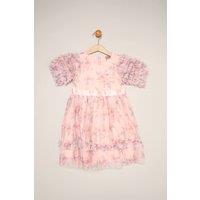 Miss Girl's Floral Mesh Dress with Ruffle Sleeves in Light Pink | Size: 3 Years