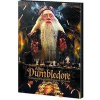 Harry Potter Dumbledore Canvas Print in Off-White