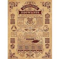 Harry Potter Quidditch At Hogwarts Framed Canvas Print in Brown