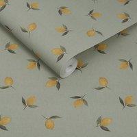 Sophie Allport Lemons Greenhouse Wallpaper in Green | Size: 10000mm x 520mm