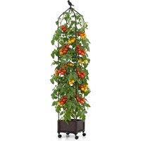Kelvenix Self-Watering Tomato Cage on Wheels Extra-Tall Tomato Planter in Dark Brown | Size: 100g
