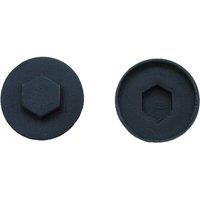 JCP CONSTRUCTION PRODUCTS Slate Blue Cover Caps - 19mm - Box of 1000 in Black