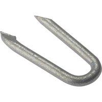 Forgefix Netting Staple Galvanised 15Mm Bag Weight 500G in Silver