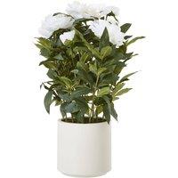 Wyld Haus Large White Peony Artificial Plant in White Ceramic Pot