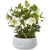 Wyld Haus White Hellebore Artificial Plant in Grey Ceramic Pot