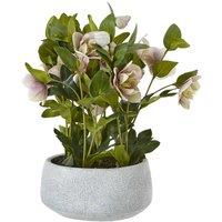 Wyld Haus Variegated Pink Hellebore Artificial Plant in Grey Ceramic Pot